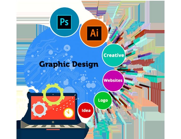 Graphic Designer & Illustrator